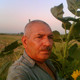 shamil, 67