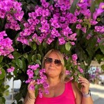 , 50 (3 , 0 )