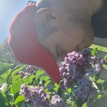 ������, 39