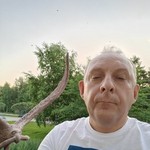 , 56 (6 , 0 )