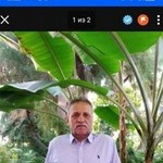 Volodya, 64 (1 ����, 0 �����)